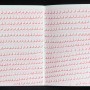 cahier d'écriture n°2, 2011, felt-tip on paper, 30 x 10 cm